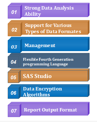 Features of sas