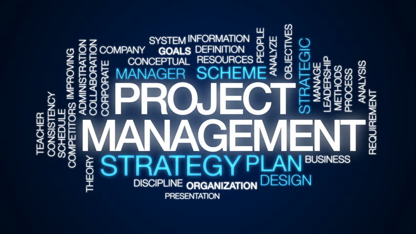 Project Management Professional (PMP) in Business Analytics