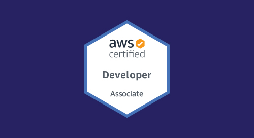 Advanced Development: Vue.js, GoLang, AWS Associate