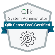 Qlik Sense SaaS Administrator