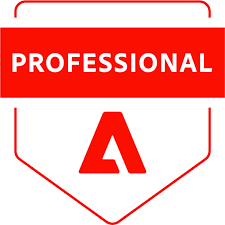 Adobe Analytics Developer Professional