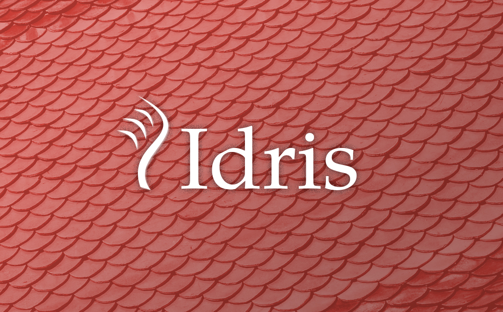 Idris for Practical Programming