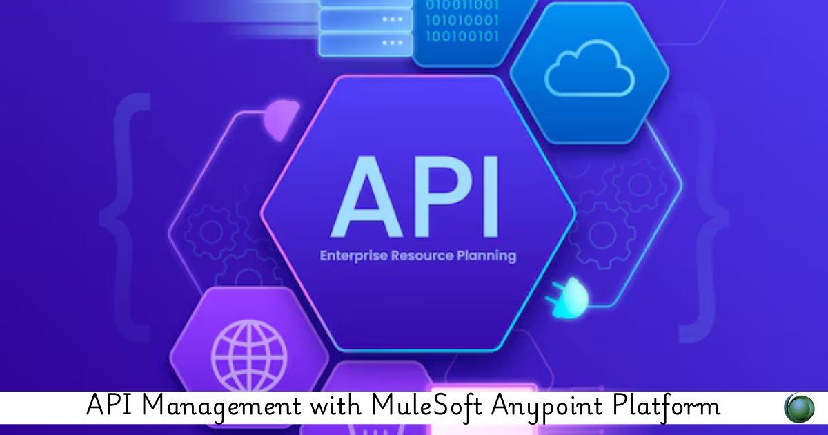 API Management