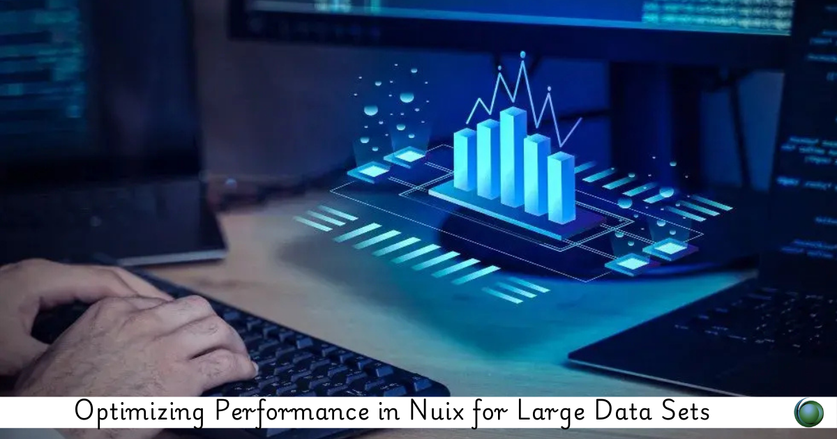 Nuix for Large Data Sets