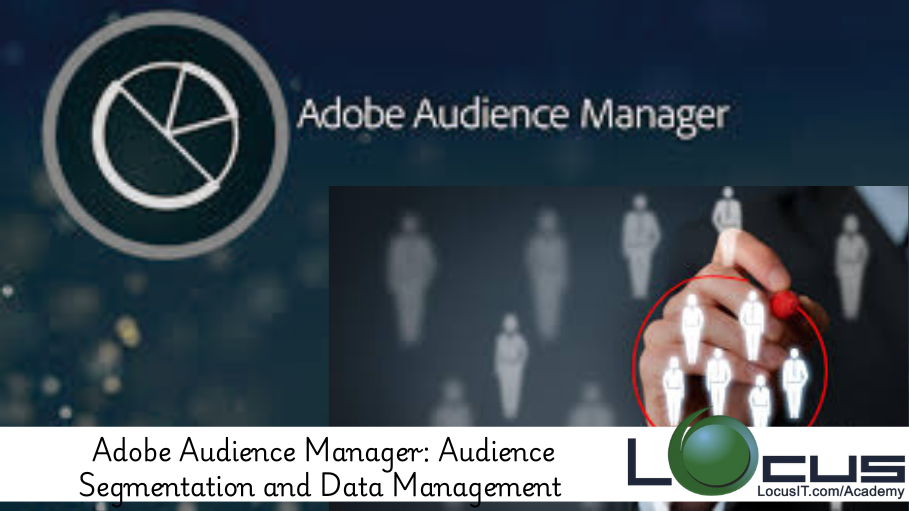 Adobe Audience Manager: Audience Segmentation and Data Management